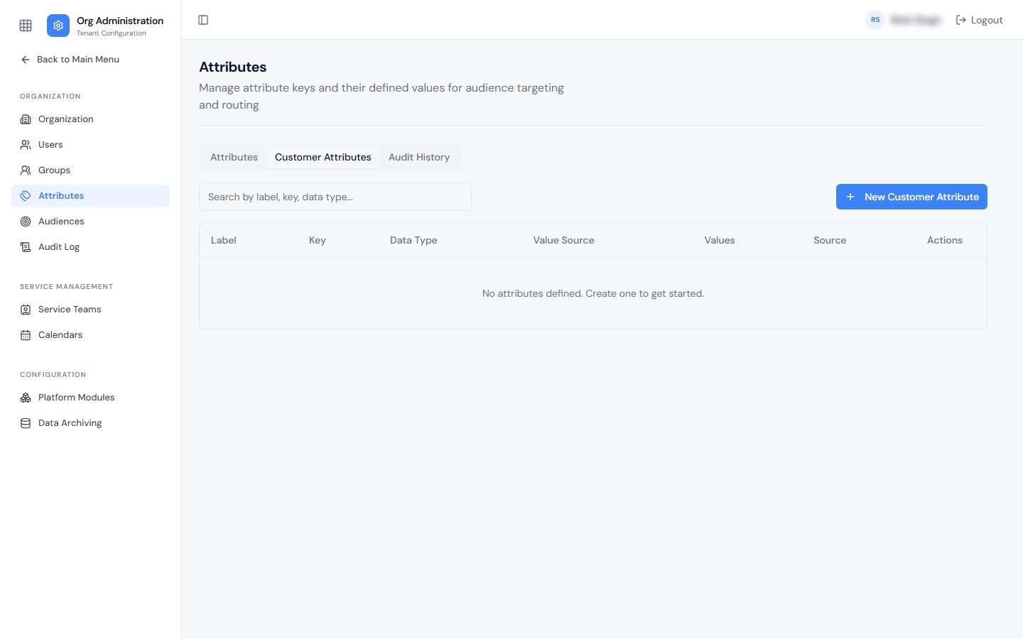 Customer Attributes tab on the tenant-level Attributes page