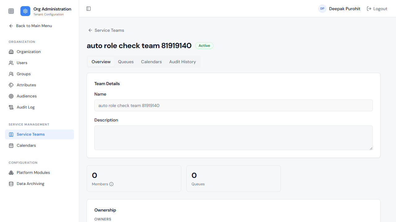 Team Overview — status, details, and Members/Queues counts